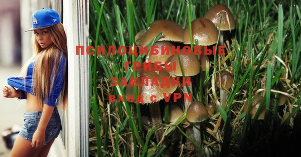 а пвп мука Аркадак