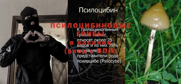 мдпв Балабаново