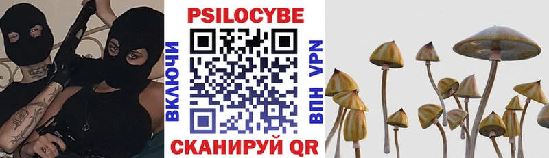 Псилоцибиновые грибы Cubensis  Остров 